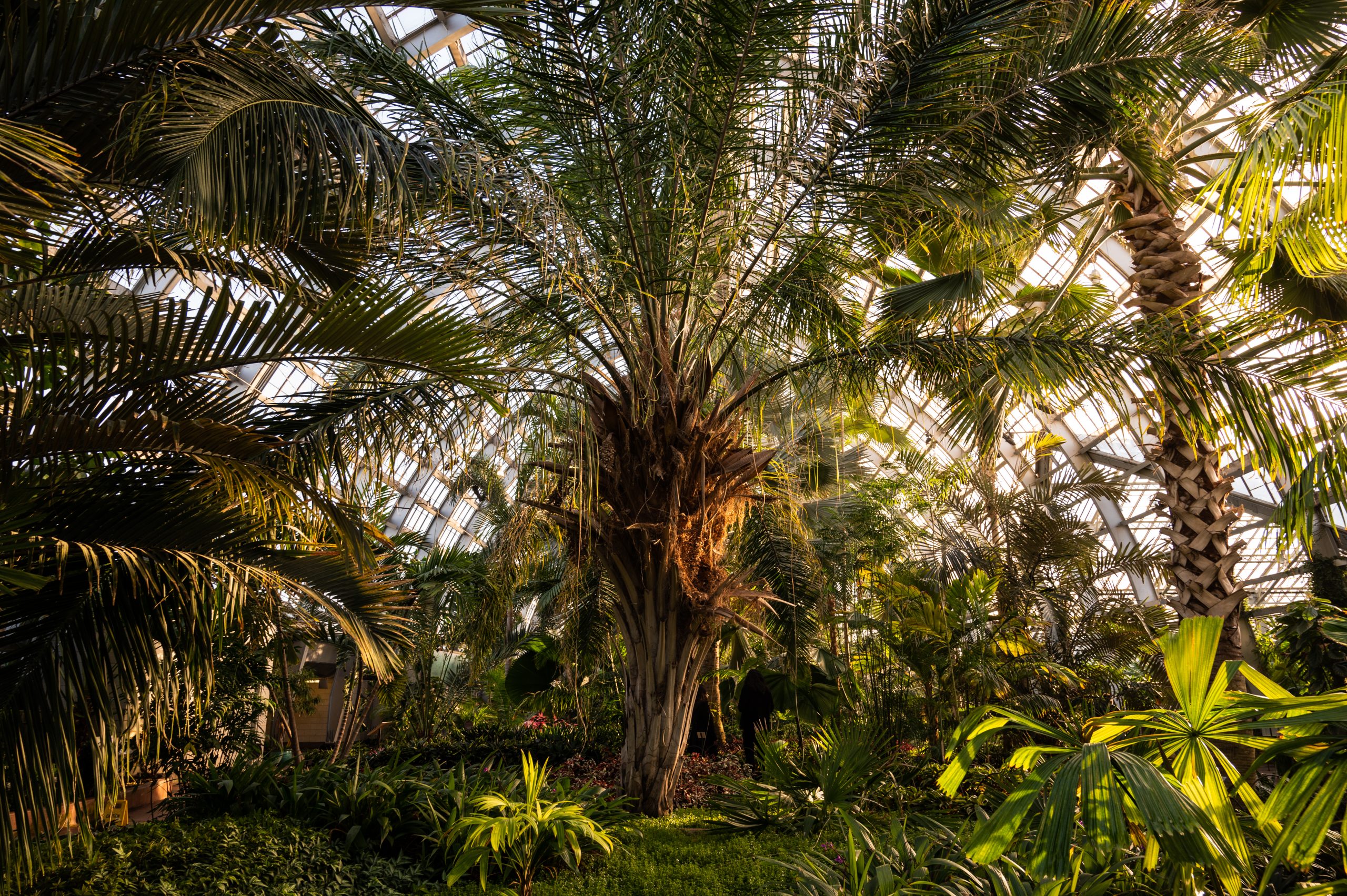 18 Ways To Celebrate Earth Day In Chicago