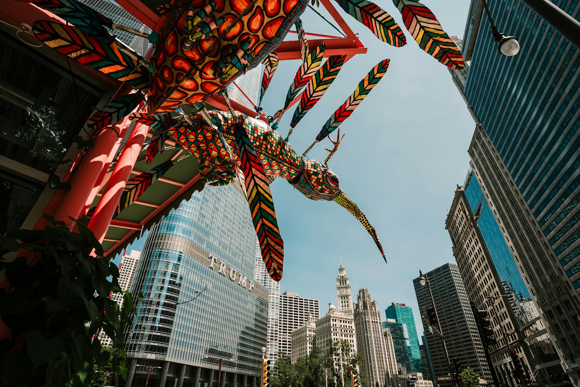 Chicago Latino Film Festival 2026: Latin America on Screen