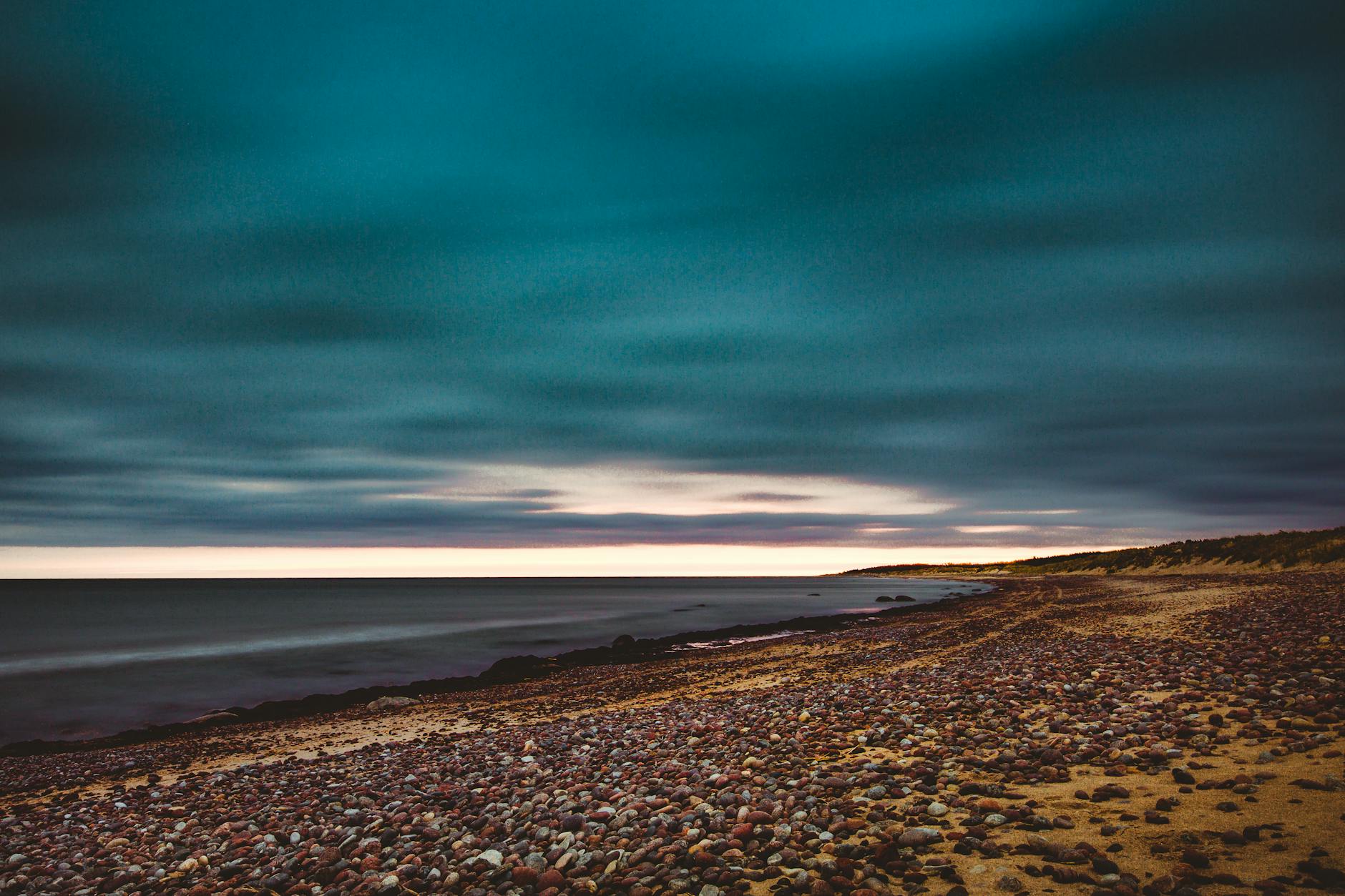 Chicago Moves to Ban Officers With Extremist Group Ties